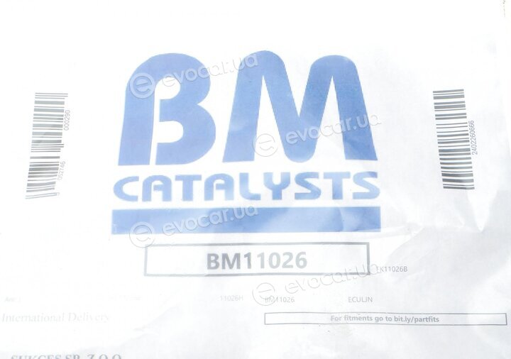 BM Catalysts BM11026