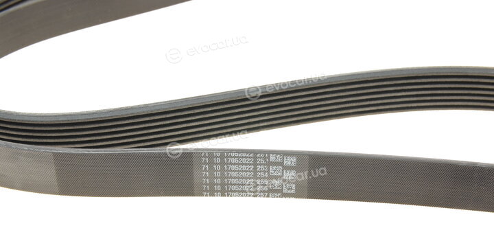 Continental 7PK1538