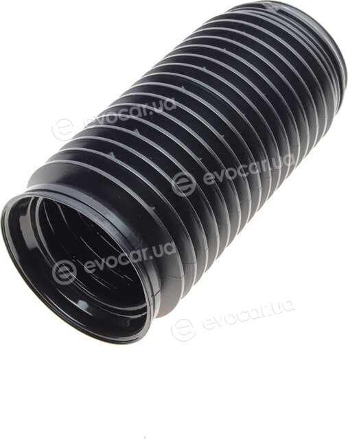 Borsehung B10028