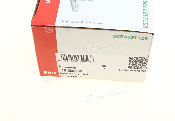 FAG 818 0663 10