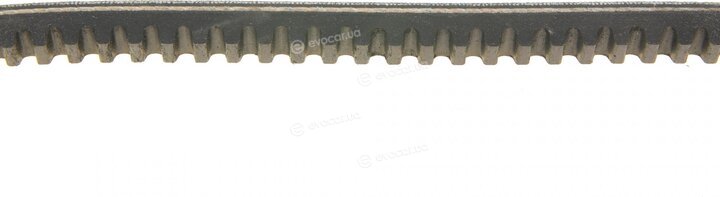 Dayco 13A0750C