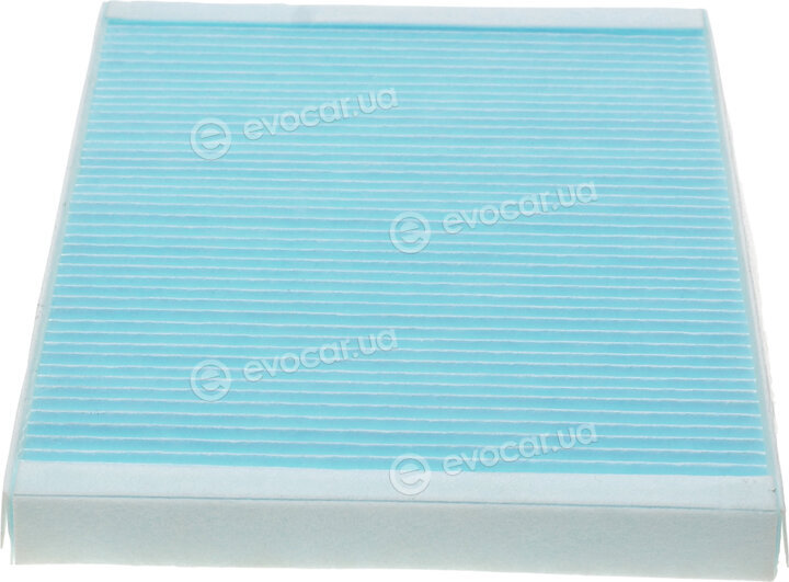 Blue Print ADG02537