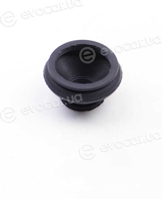 BC Guma 0107
