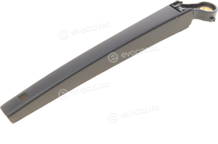AIC 56855
