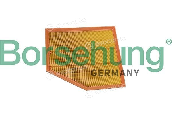 Borsehung B13063