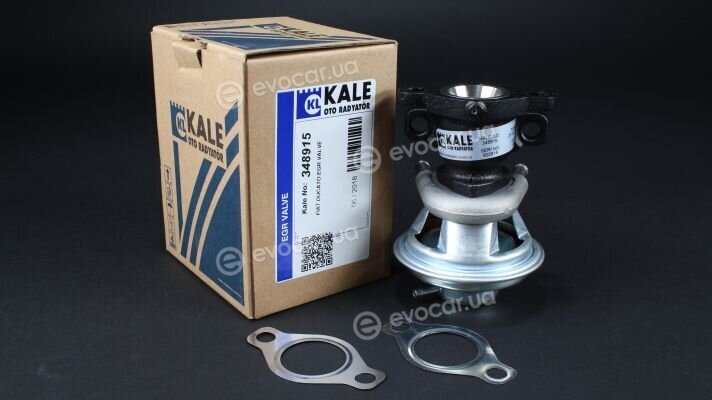 Kale 348915
