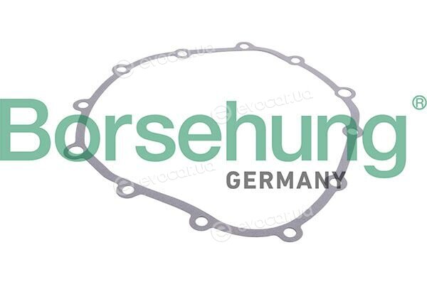 Borsehung B13287