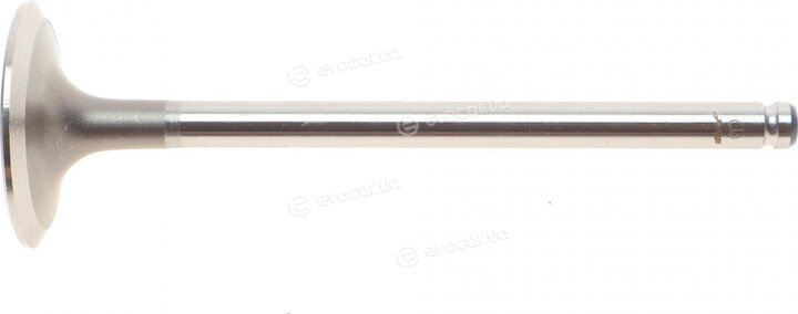 AMP PPEU009-S-0-D