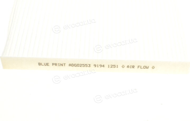 Blue Print ADG02553