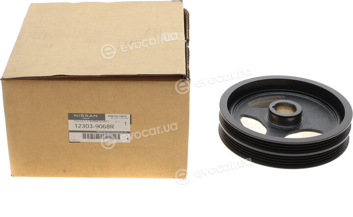 Renault / Nissan 123039068R