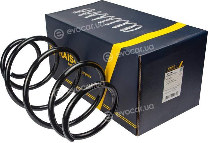 Raiso SF134TP