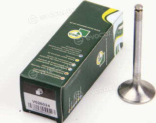 BGA V026024