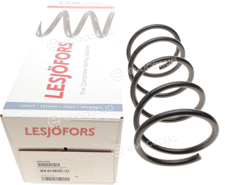 Lesjofors 4092508