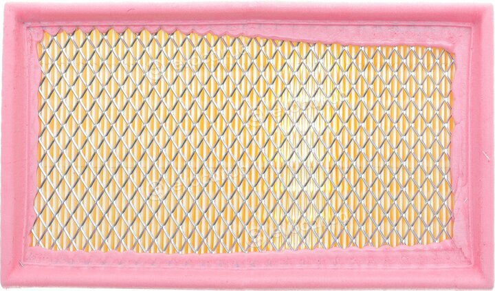 Solgy 103138