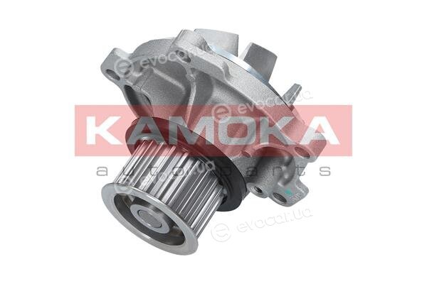 Kamoka T0077