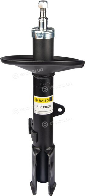 Raiso RS313809