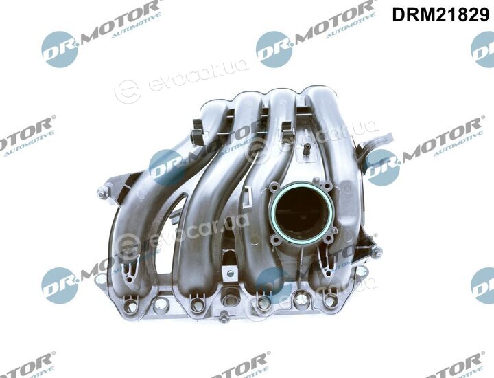 Dr. Motor DRM21829