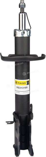 Raiso RS313189