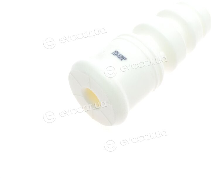 Kavo SPK-10029