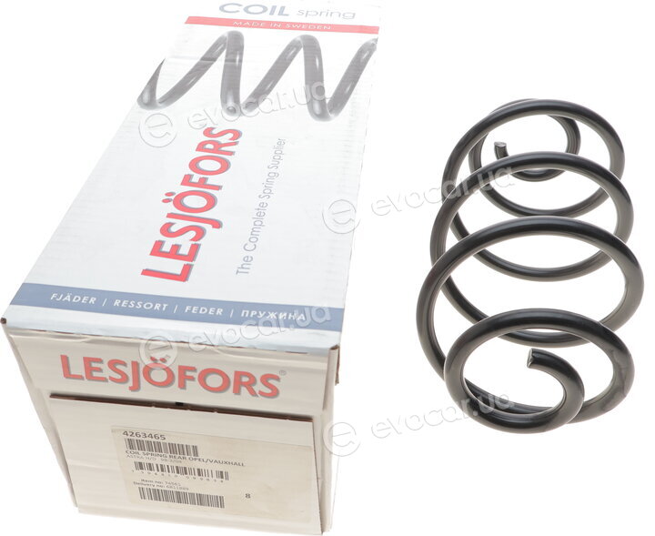 Lesjofors 4263465