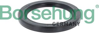 Borsehung B13361