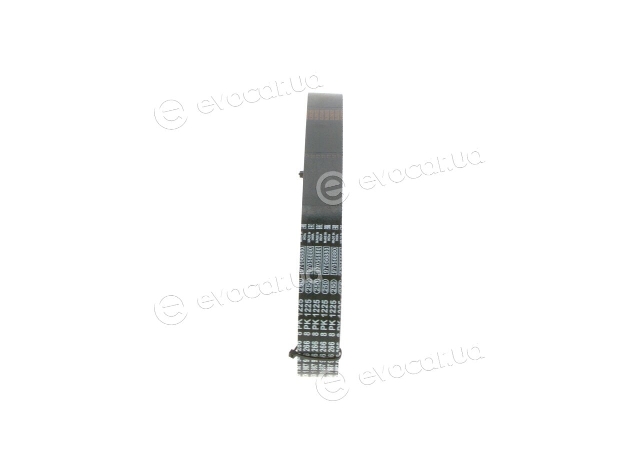 Bosch 1 987 946 266