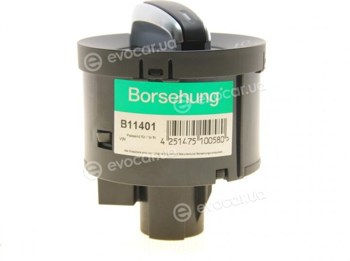 Borsehung B11401