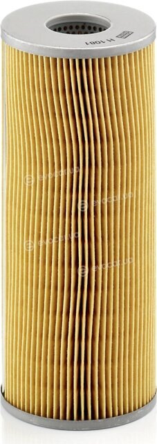 Mann H 1081