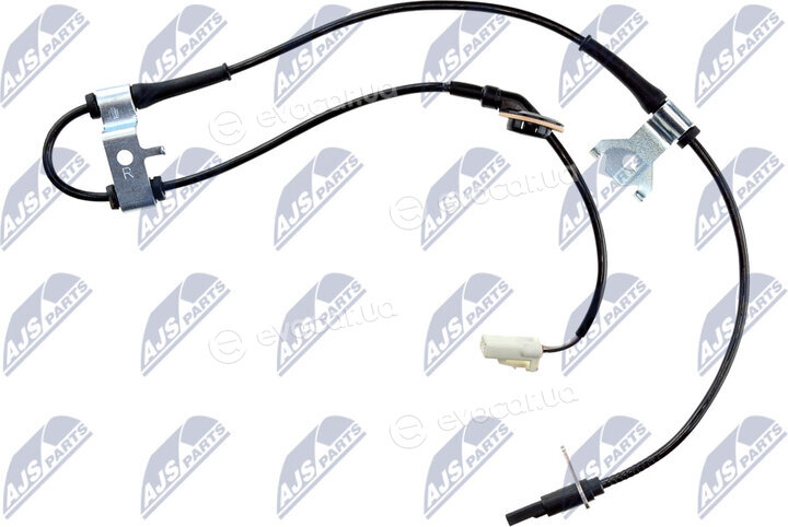 NTY HCA-SU-031