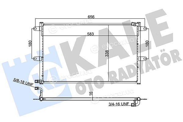 Kale 384600