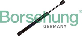 Borsehung B12479