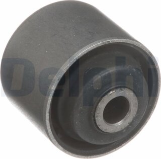 Delphi TD5569W