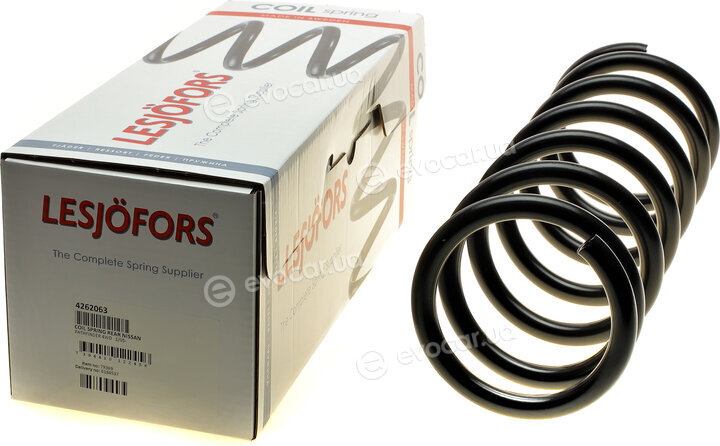 Lesjofors 4262063