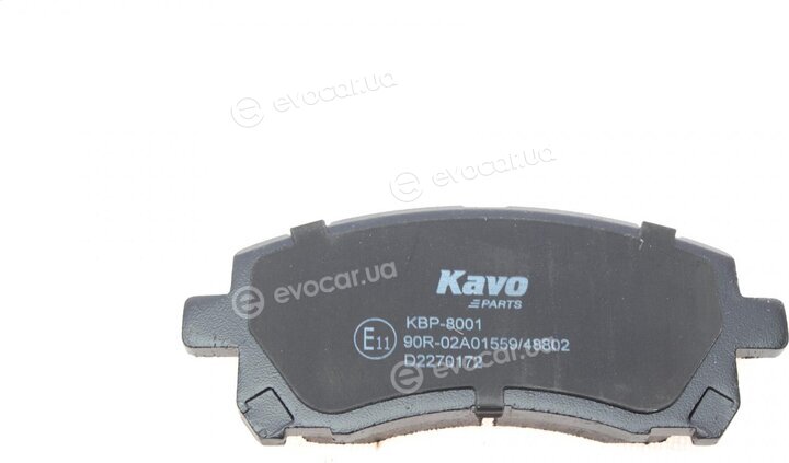 Kavo KBP-8001