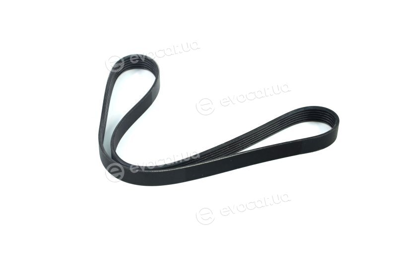 SKF VKMV 6PK1053