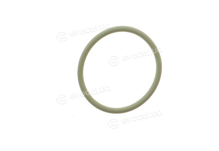 Elring 584.290