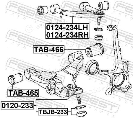 Febest 0124-234RH