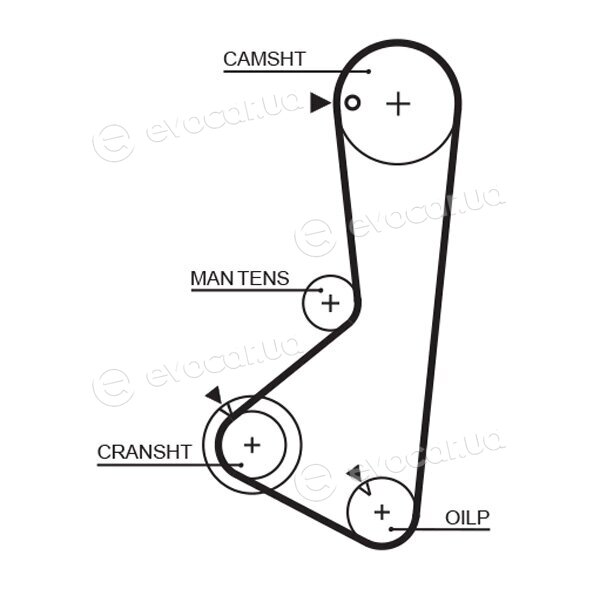 Gates 5256XS