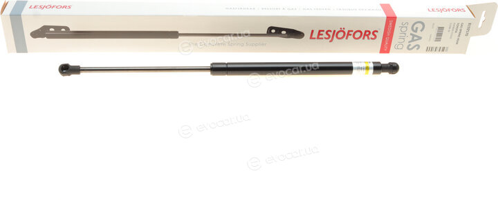 Lesjofors 8192570