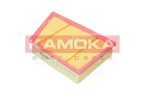Kamoka F247901