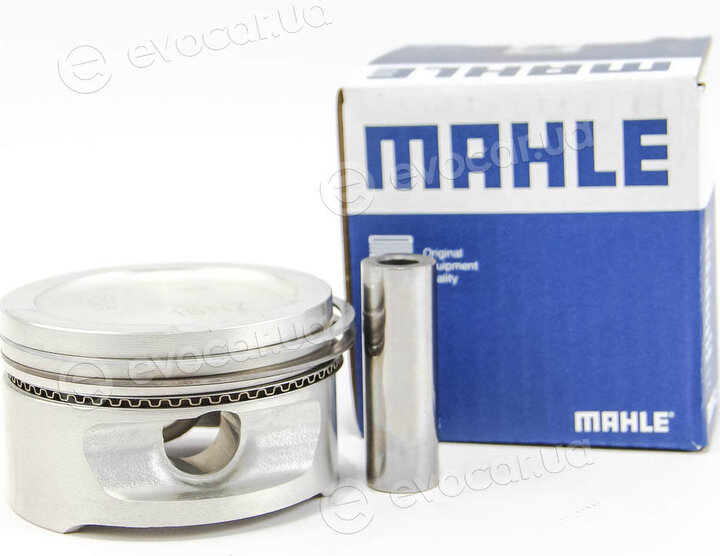 Mahle 011 08 12