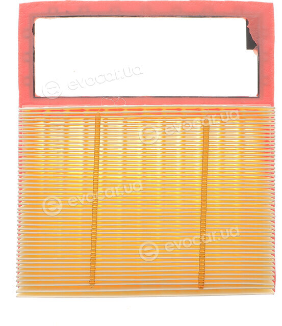 Solgy 103191