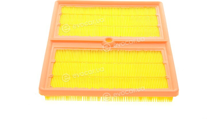Borsehung B10528