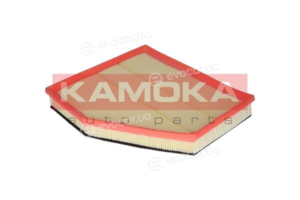 Kamoka F219601