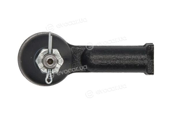 Reinhoch RH01-4054