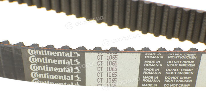 Continental CT1065K3