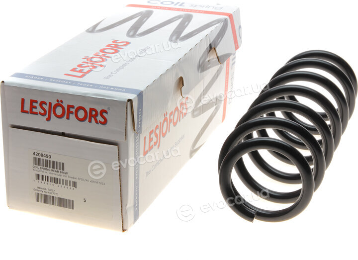 Lesjofors 4208490