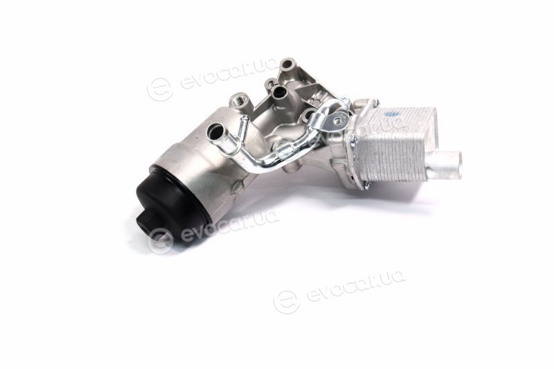 Van Wezel 37013718