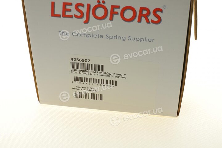 Lesjofors 4256907