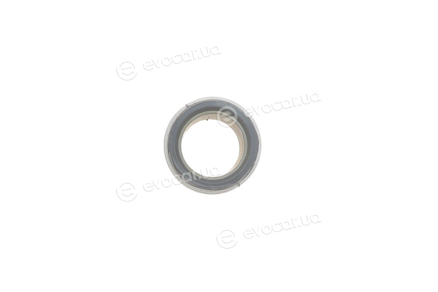 Elring 558.150
